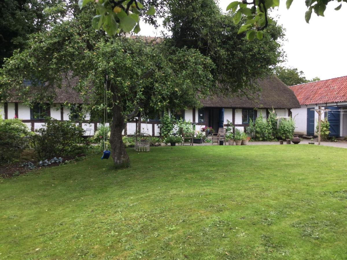 Filippavej 80 Bed & Breakfast Vester-Skerninge ภายนอก รูปภาพ